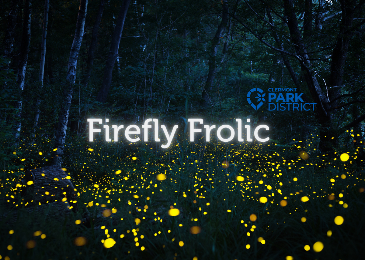 Firefly Frolic is written over an image of a forest trail at night, with many dots of yellow light in the foreground